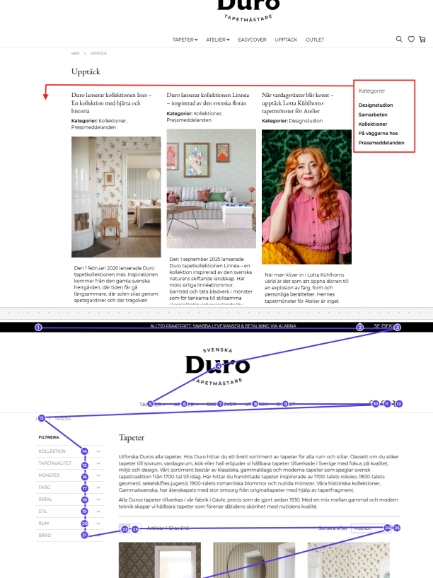 Duro accessibility audit and WCAG analysis